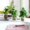 thumbnail image 4 of K-Cliffs Set of 3 Faux Green Plants Potted in Clear Glass Cubes with Mini Pebbles, 4 of 5