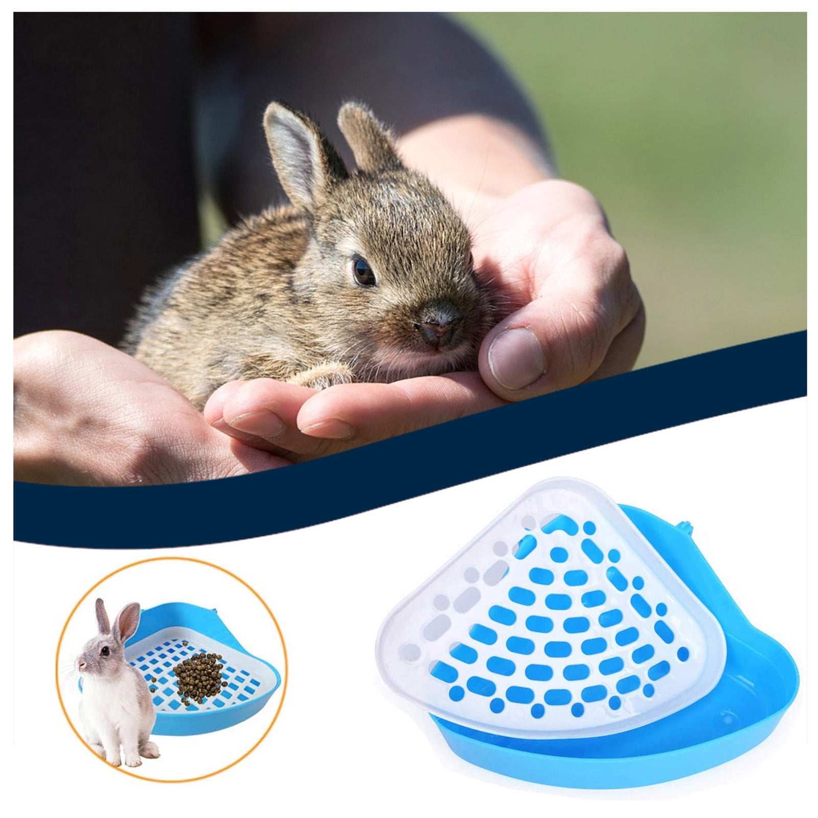 Train A Rabbit To Use Litter Box lupon.gov.ph