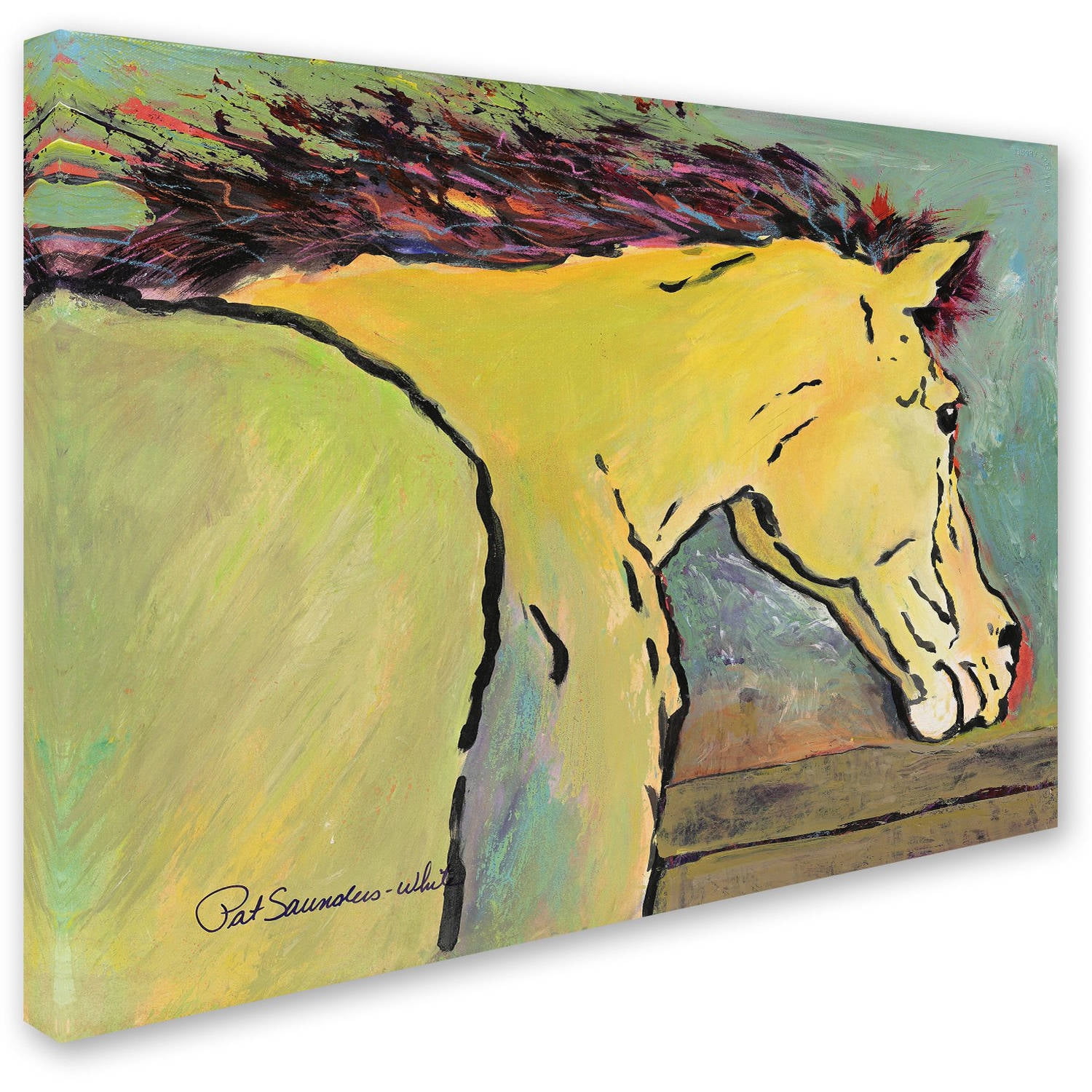 Trademark Fine Art "Waiting for Sunrise" Canvas Art by Pat Saunders-White