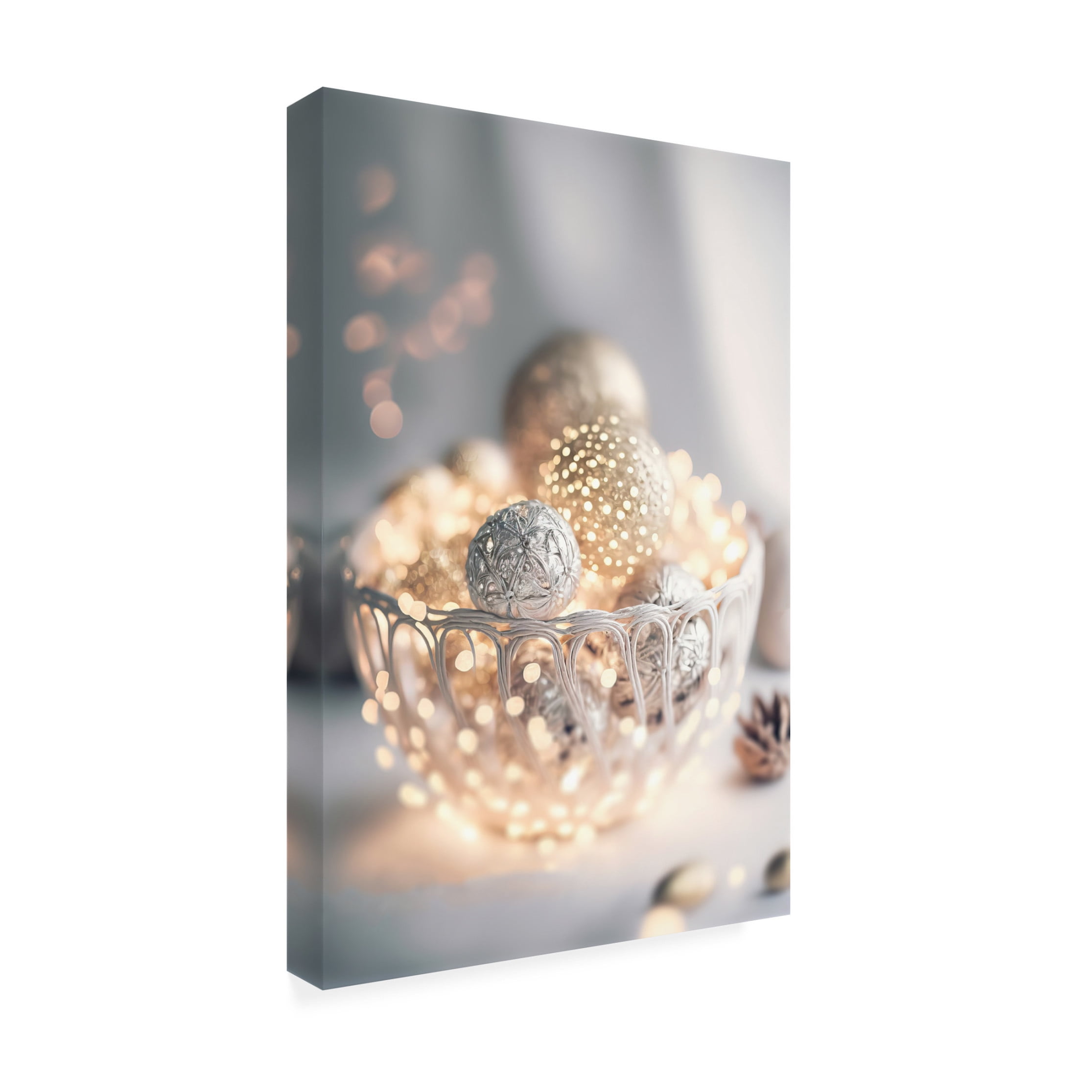 Canvas Wall Art - Treechild 'Silver Bowl Still life' Wall Art for Living Room, Bedroom, or Office D?cor by Trademark Fine Art - 12 x 19 Inches