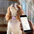 thumbnail image 5 of Juego de 4 fundas protectoras de silicona ZHAOCHENG para collares de perros Compatible con Air tags 2021 Blanco Azul Rosa Morado, 5 of 5