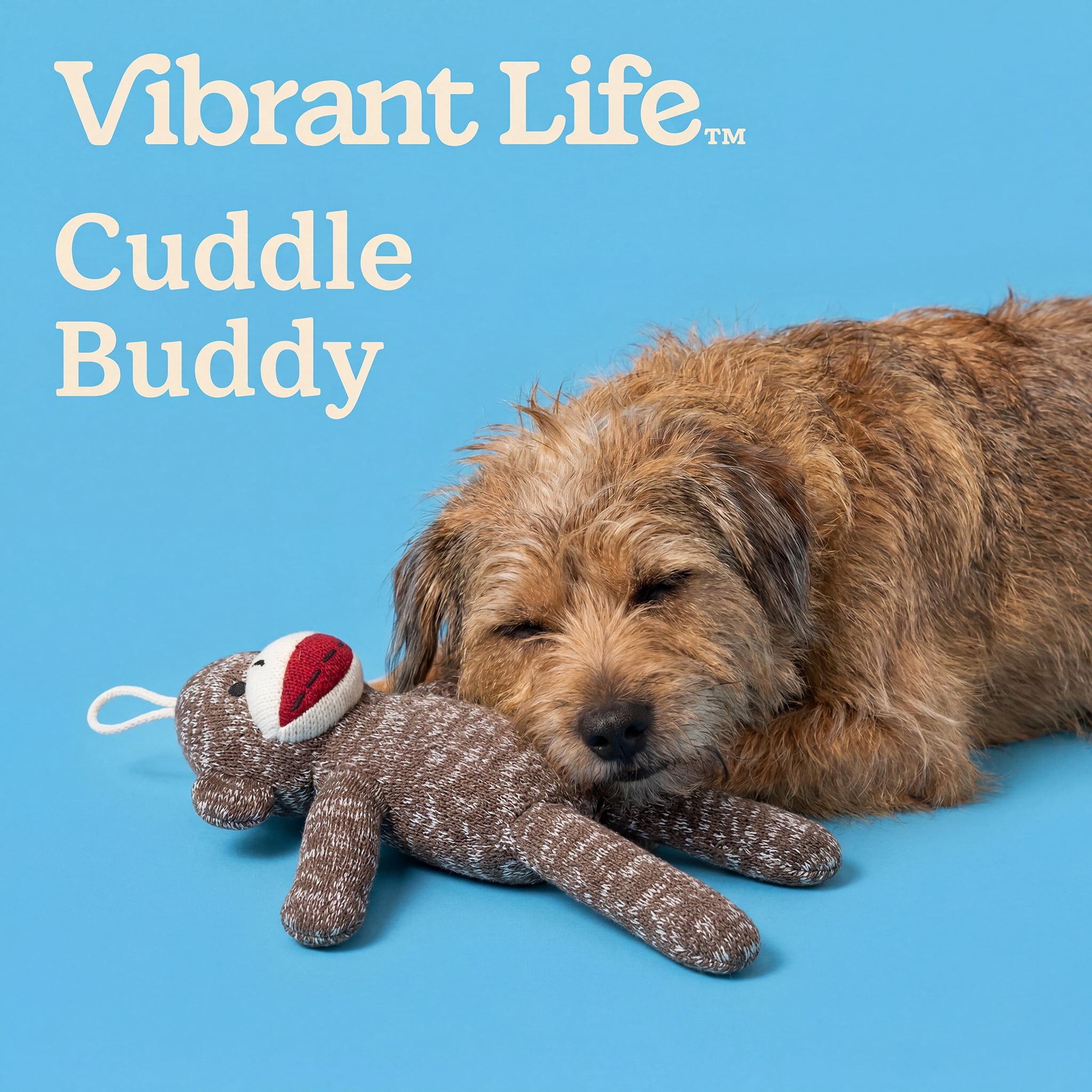 (2 pack) Vibrant Life Brown Sock Monkey Plush Dog Toy with Squeaker, Chew Level 1