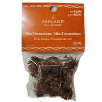 Ashland Mini Decoration Pine Cones 15-pc