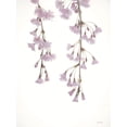 thumbnail image 2 of Deiter, Lori 25x32 Gold Ornate Wood Framed with Double Matting Museum Art Print Titled - Weeping Cherry on White I, 2 of 4