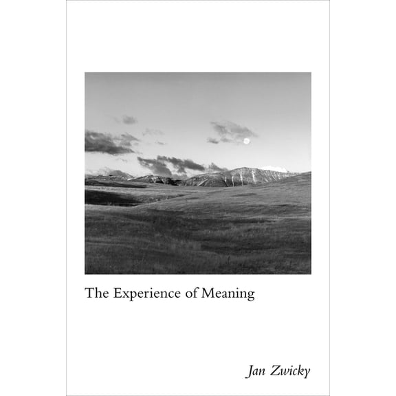 The Experience of Meaning (Paperback)