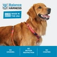 thumbnail image 3 of Blue-9 Reflective Buckle-Neck Balance Harness, Fully Customizable Fit No-Pull Harness with 3M Reflective Stitching, Ideal for Dog Training and Obedience, Made in The USA, Red, Medium/Large C97, 3 of 3