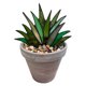 thumbnail image 1 of Naiovety 1x Mini acrílico Aloe planta en maceta decoración jardín adorno DIY decoración clásica Decoración, 1 of 6