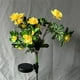 thumbnail image 1 of Toystoory Lámpara solar de ahorro de energía multiusos con luz de azalea para jardín, elección de regalo, flores Decoración Rojo Lámpara de calentamiento, 1 of 6