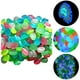thumbnail image 2 of Piedras luminosas para jardines exteriores y acuarios interiores Guijarros luminosos para jardines en macetas Piedras luminosas Rocas Guijarros luminosos para pasillos Decoración exterior, 2 of 8