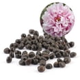 thumbnail image 3 of 120 semillas de peonía china de Paeonia suffruticosa para plantar árboles de flores exquisitas, 3 of 6