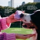 thumbnail image 5 of Bolsa Springer para golosinas para perros, de silicona apta para uso alimentario, con mosquetón, 5 of 8