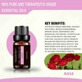 thumbnail image 4 of 6Pcs 10ML Essential Oil Set Fragrance Oil for Aroma Diffuser Flower Fruit Essential Oil Aromatherapy Air Freshening, 4 of 10