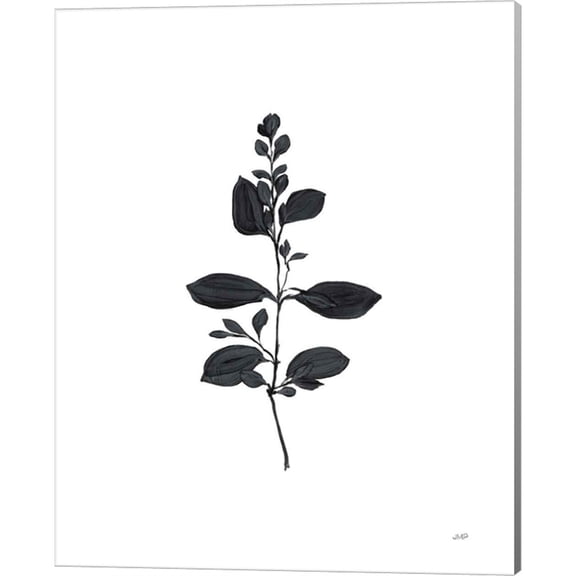 Great Art Now Botanical Study Branch by Julia Purinton, Canvas Wall Art, 16W x 20H