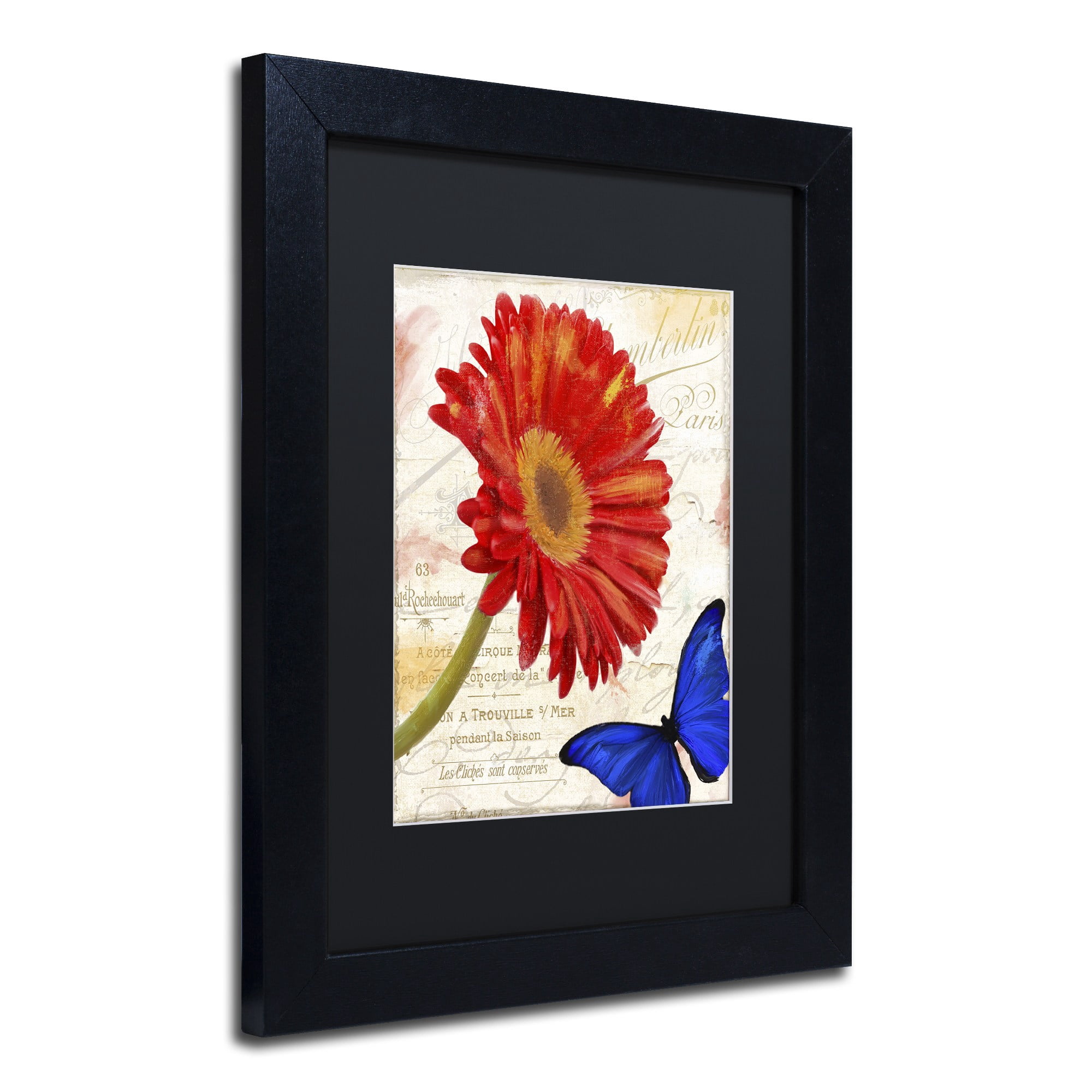 Trademark Fine Art "Gerbera Daisy" Canvas Art by Color Bakery Black Matte, Black Frame
