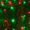 Red & Green, variant on Wintergreen Lighting Warm White Net Lights LED Mesh Lights Christmas String Lights, 4' x 6', 100 Lights - Green Wire