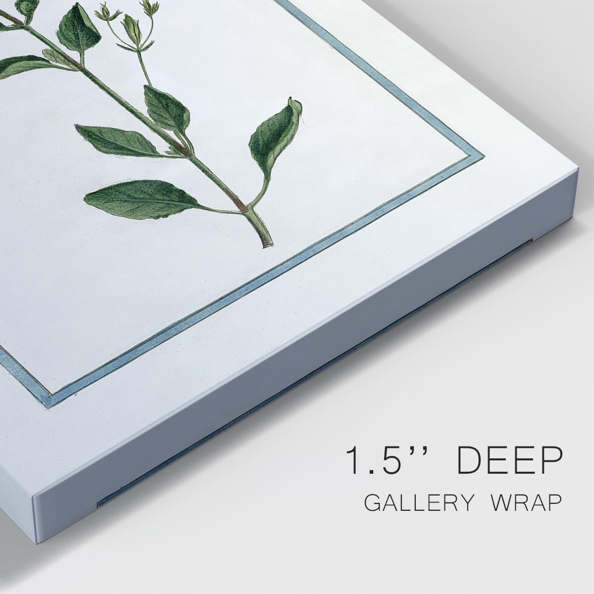 Shabby Chic Botanical II Premium Gallery Wrapped Canvas - Ready to Hang