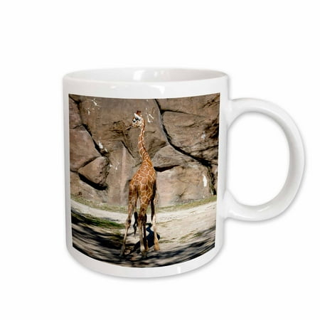 

3dRose Giraffe Ceramic Mug 15-ounce