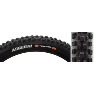 WTB Trail Boss Tire - 29 x 2.4, TCS Tubeless, Folding, Black