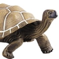 thumbnail image 5 of relayinert Modèle d'Animal Tortue Jouet Simulé Mode Mini Animal Solide pour Aides Pédagogiques, 5 of 5