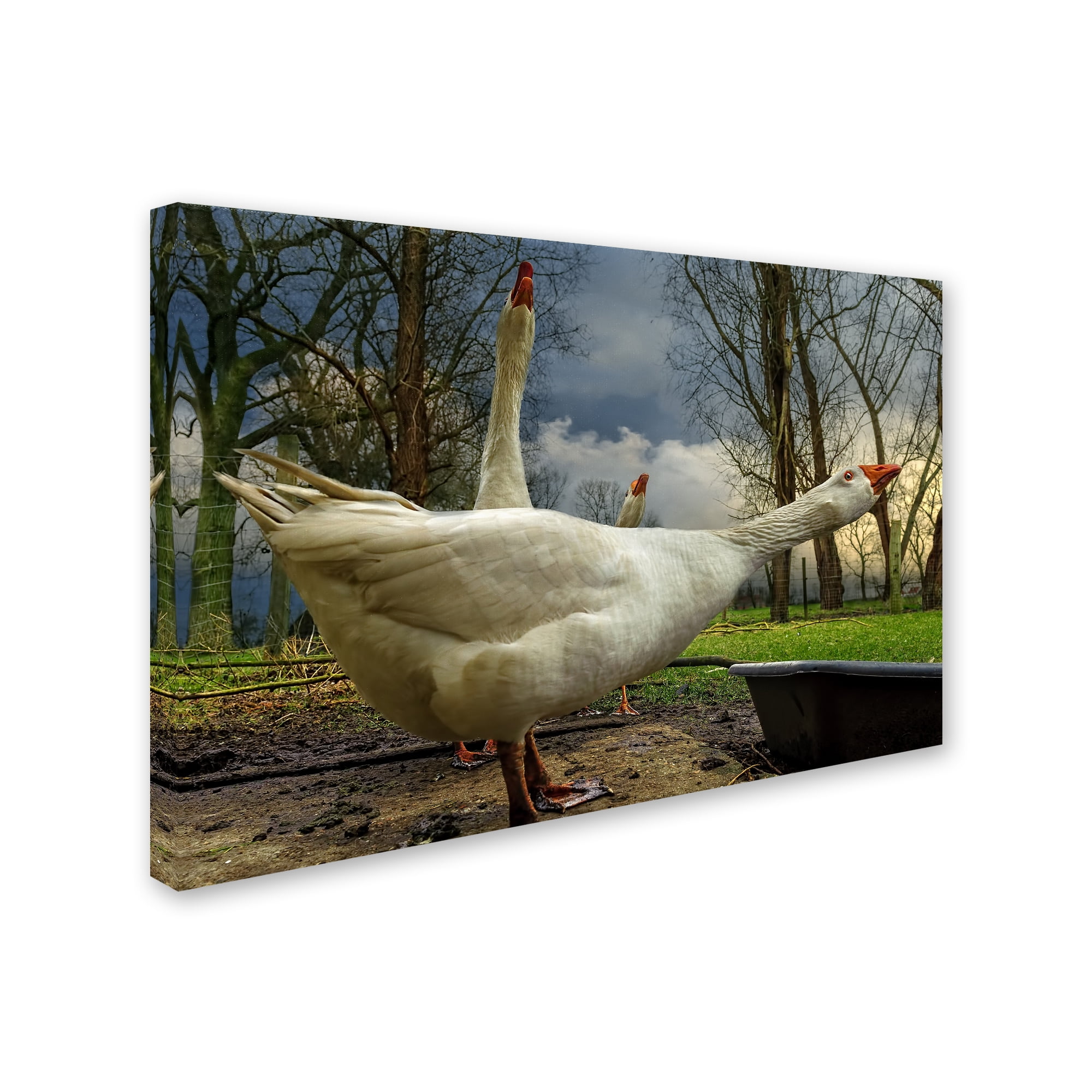 Piet Flour 'The 3 Geese' Canvas Art