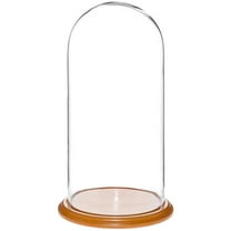 Plymor 9.75" x 20" Glass Display Dome Cloche (Oak Veneer Base)