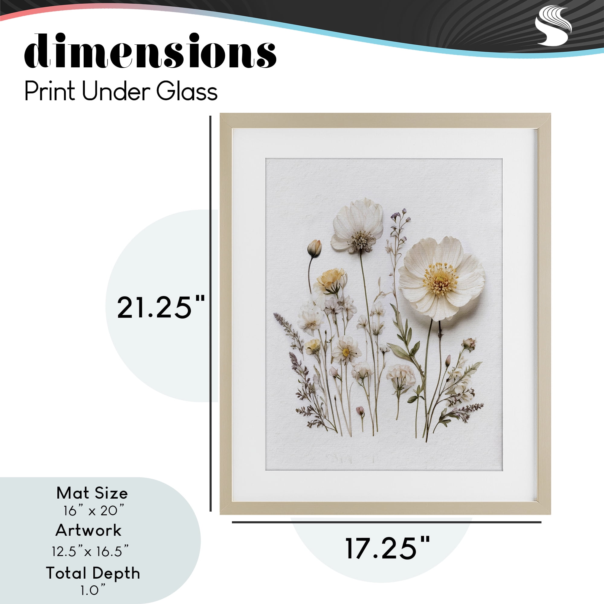 Pressed Bathroom Botanicals Birch Framed Print Under Glass, design by Lettered and Lined