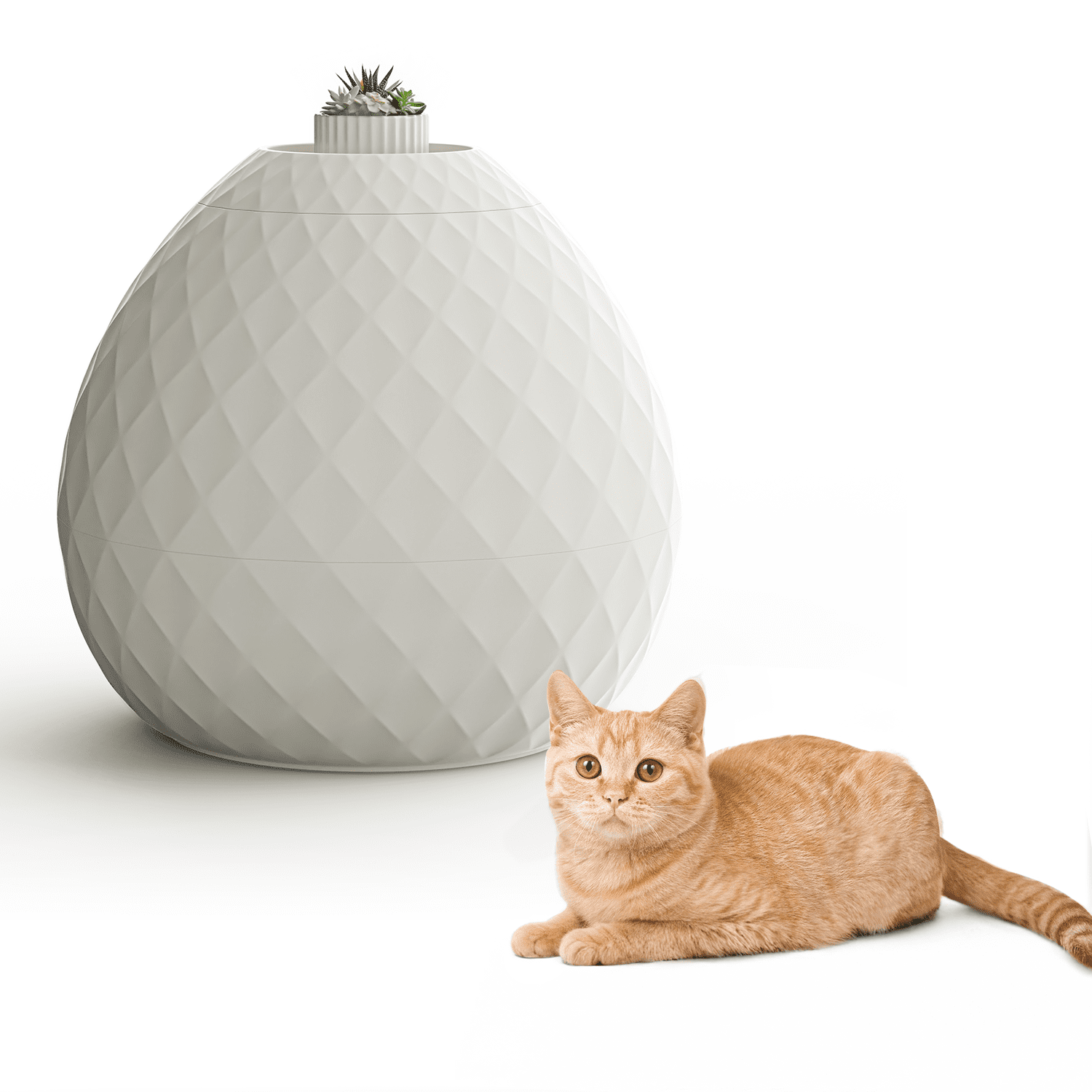 ZUCONKITCH Functional Enclosed Cat Litter Box - White, Decor-Integrated Design with Multi-Purpose Top, 19.69''*19.61''*18.43''