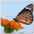 thumbnail image 1 of Picture-Tiles.com: Butterfly Ceramic Tile Wall Mural WAL500289-66L. 48"W x 48"H using (36) 8" x 8" Ceramic Tiles-Satin Finish, 1 of 3