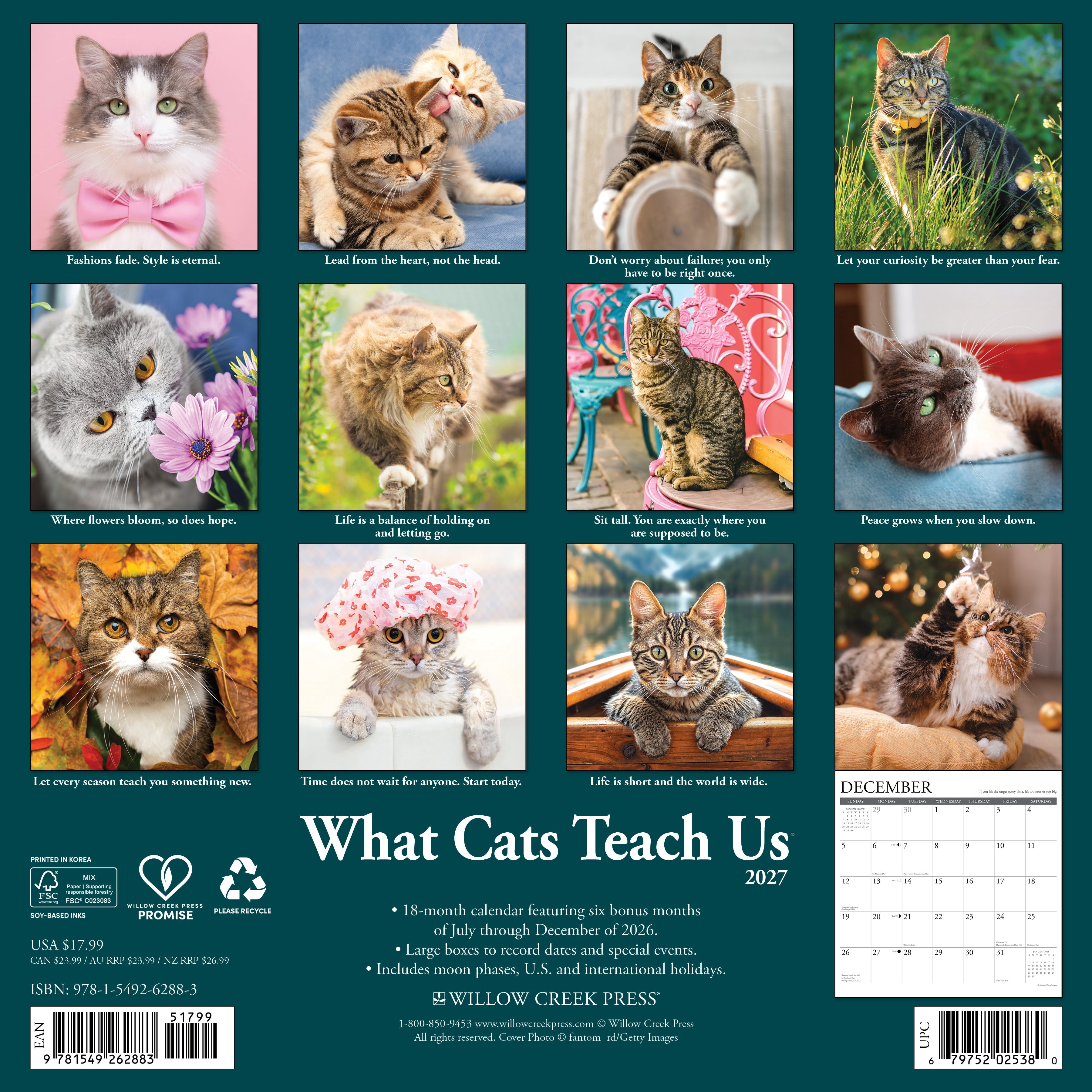 Willow Creek Press, What Cats Teach Us 2027 Wall Calendar