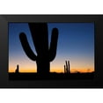 thumbnail image 2 of Malvin, Larry 24x17 Black Modern Framed Museum Art Print Titled - Clear Saguaro Sunset I, 2 of 5
