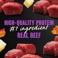 thumbnail image 6 of Cesar Loaf & Topper in Sauce Wet Dog Food, Filet Mignon Flavor, Bacon & Potato, 24 Count, 6 of 14