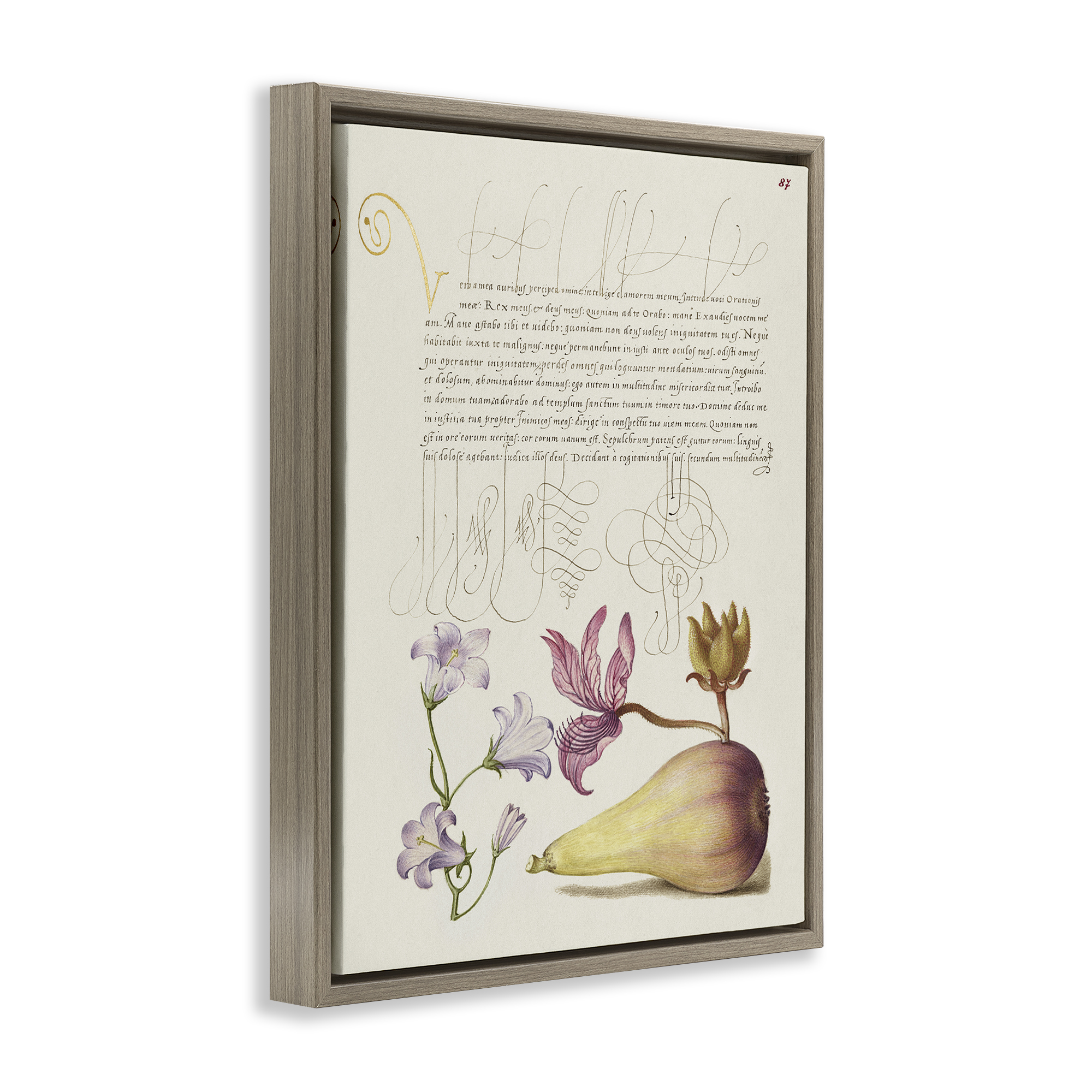 Stupell Industries Classical Cottage Plants Text & Numbers Painting Brown Floater Framed Canvas Art Print Wall Art, 17 x 21