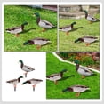 thumbnail image 4 of 3pcs Realistic Duck Stake Outdoor Use Artificial Duck Pattern Ground Stake Lawn Decor Supply, 4 of 6
