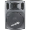 Speaker System