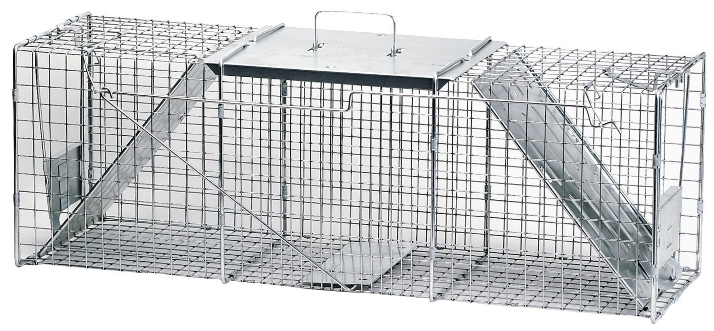 Live Animal Trap Catch Raccoon Groundhog Opossum Stray Cat Catch Release Cage 