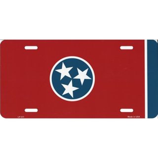 Tennessee Titans WinCraft Team Logo S/L Metal License Plate Frame