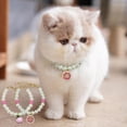 thumbnail image 3 of Adjustable Pet Necklace - Fake Pearl Decorative with Bell Charm - Cat and Dog Collar, 3 of 8