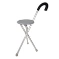 thumbnail image 1 of Travelon Walking Seat and Cane in One, Grey, One Size, 1 of 4