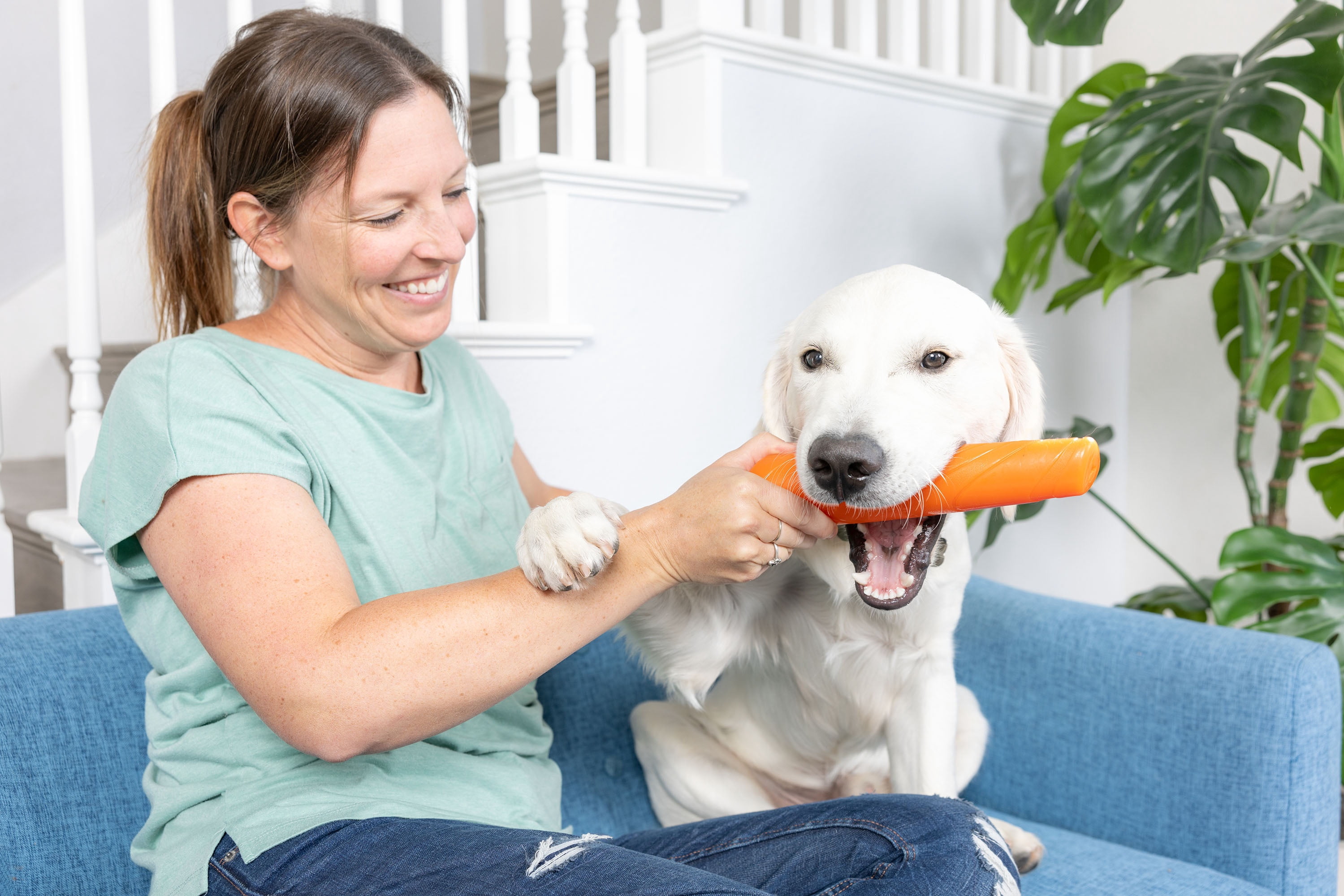 Chuckit! Super Crunch Dog Stick Fetch Toy for Dogs with Crackle Sounds, 9.2" Long for All Size Breeds, Pack of 1