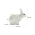 Animal Flowerpot White Porcelain Pot Rabbit Flower Pot Olive Tree