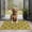 Yellow Boston Terrier, variant on Shih Tzu Dog and Flower Floral Door Rugs,Washable Non Slip Door Mats Indoor,Decorative Door Mats,Entry Mat Indoor for Entrance,Bedroom,Kitchen,Bathroom,17"x30"