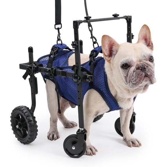 Duuclume 4 Wheels Dog Wheelchair for Small Disabled & Elderly Dogs,Adjustable Pet Mobility Aids w/ Handle Cart XS