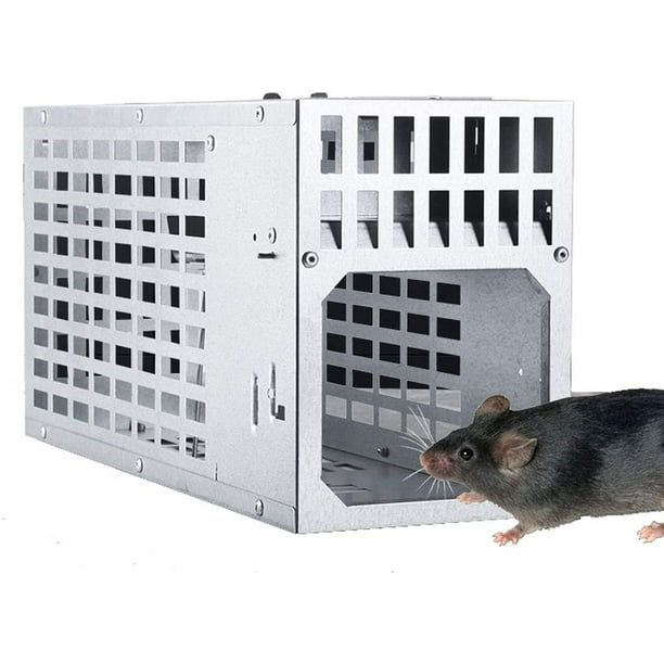 Outdoors Squirrel Traps - Metal Humane Mouse Trap Easy to Bait