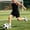 Black, variant on Kids Two Pieces Outfit Sets Sleeveless Basketball Elastic Waist Sport Shorts Casual Ball Game Set Unisex Youth Competition Outfit,2XL