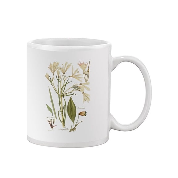 Antique Botanical Sketch I Mug - Vision Studio Designs,