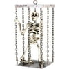 Shaking Skeleton in Cage with Sound, Over 2' Tall