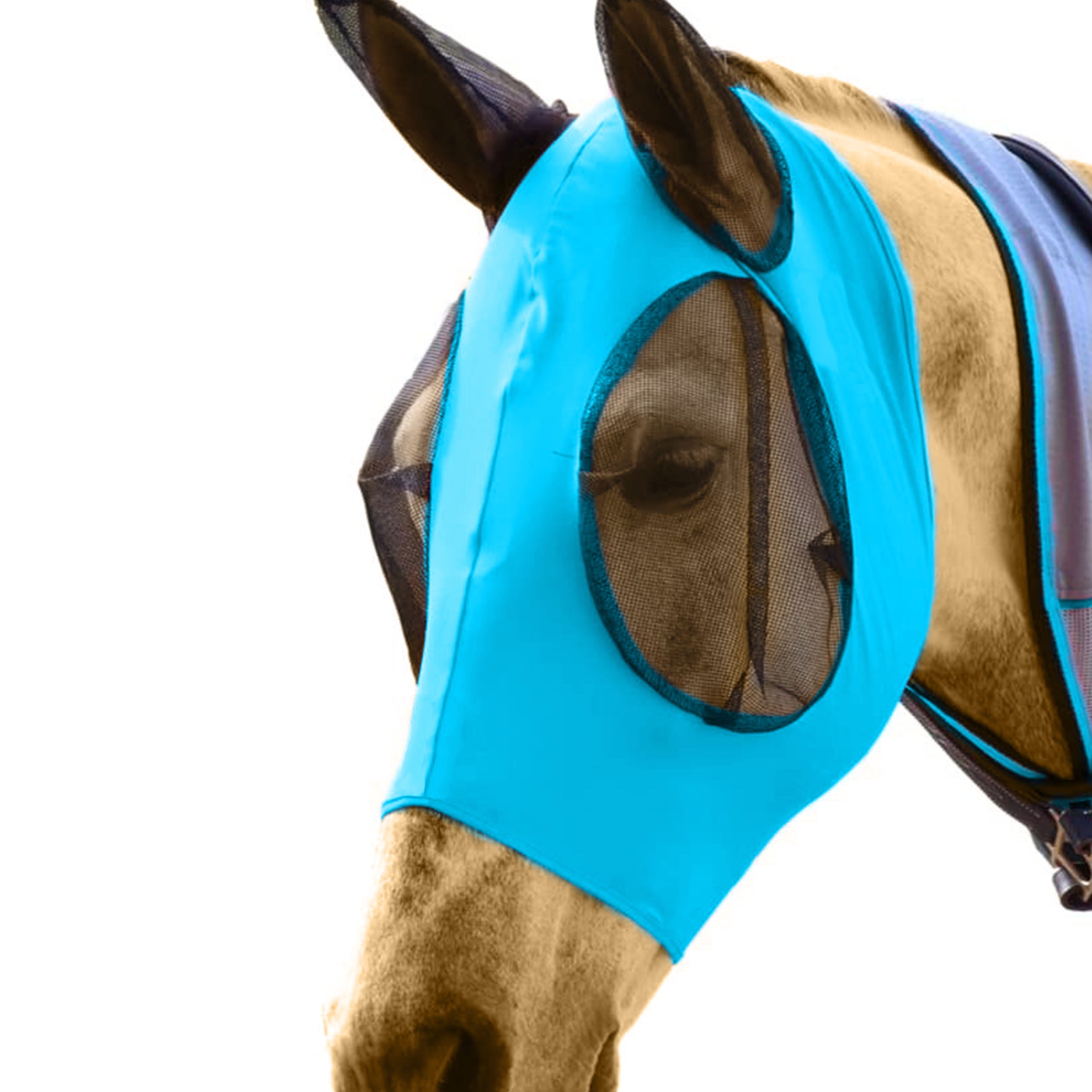 1 X Horse Mesh Fly Mask with Ears Breathable Soft Lycra Mesh Mask hood Anti-UV 