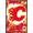 Bronze Framed Version, variant on NHL Calgary Flames - Maximalist Logo 23 Wall Poster, 22.375" x 34"