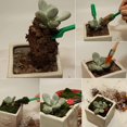thumbnail image 4 of 7-Piece Set for Succulents, Miniature Fairy Garden, 4 of 8