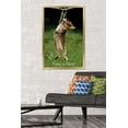 thumbnail image 4 of Famous Kitten Hang In There Poster Wall Poster, 22.375" x 34", 4 of 5